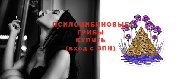 индика Балахна