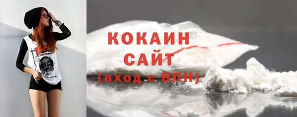 индика Балахна